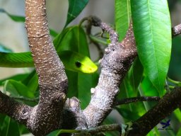 Haus des Meeres 13.03.2026